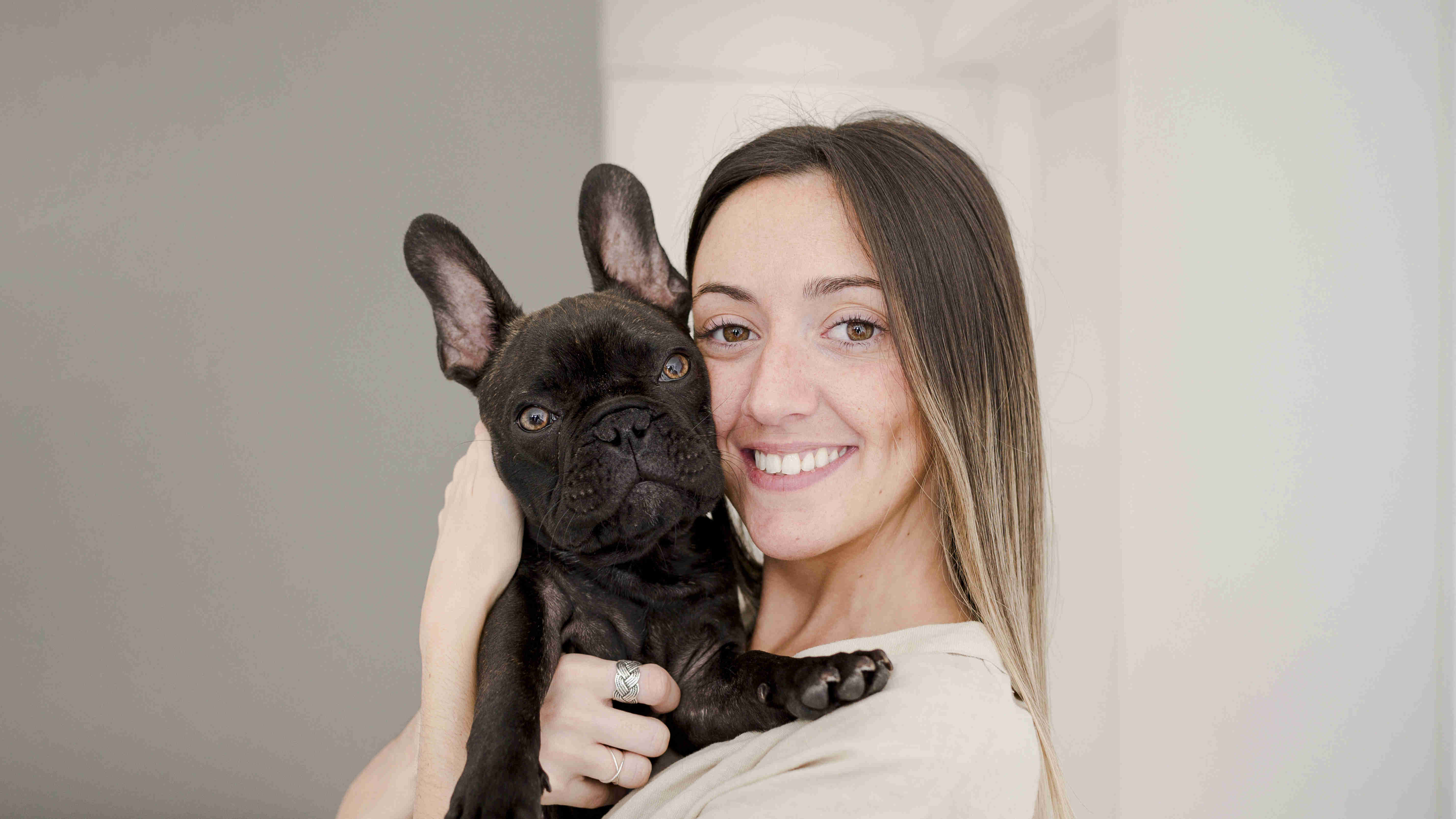 Unveiling the Myth: Do French Bulldogs Possess Stubborn or Strong-Willed Personality?